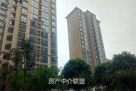 市中中坚·18781室1厅1卫61m2豪华装修